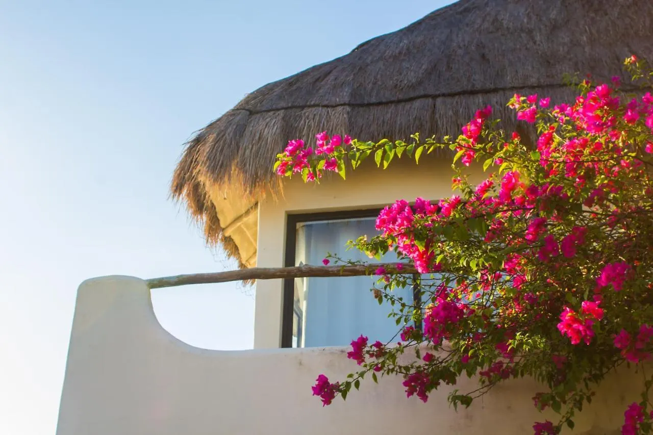 Kinbe Hotel Boutique Playa del Carmen 4*,