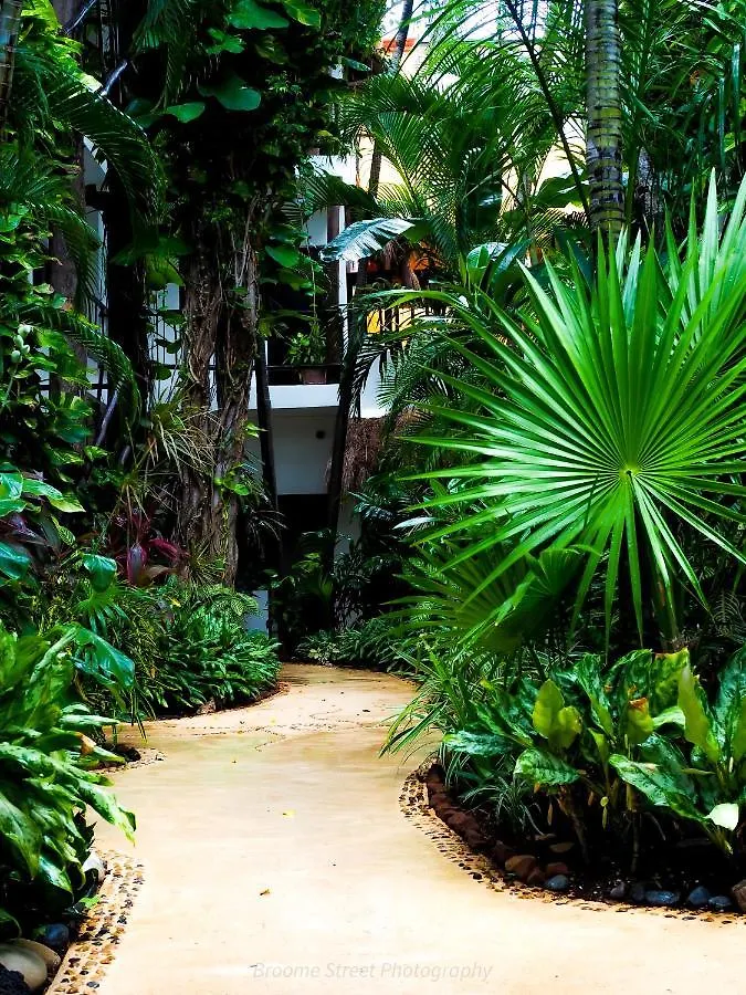 Hotel Kinbe - Few Steps From 5Th Avenue And The Beach Playa del Carmen