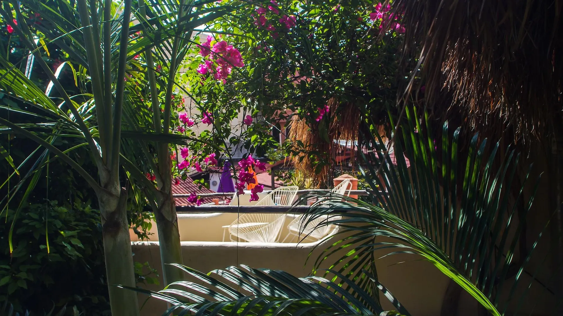 Hotel Kinbe - Few Steps From 5Th Avenue And The Beach Playa del Carmen México
